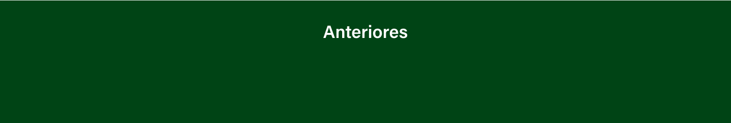 Relatório de Sustentabilidade - 2020