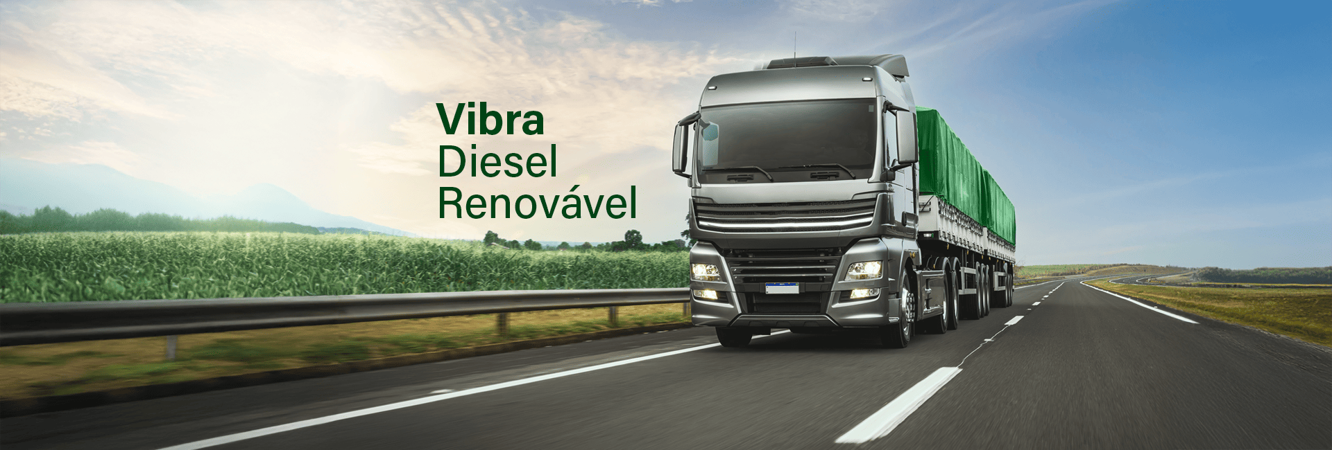 Vibra Diesel Renovável