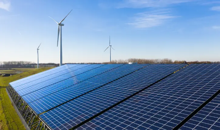 Vibra compensa emissões de mais de 52 mil toneladas de CO2 via Programa ISS Neutro e reafirma compromisso com a descarbonização